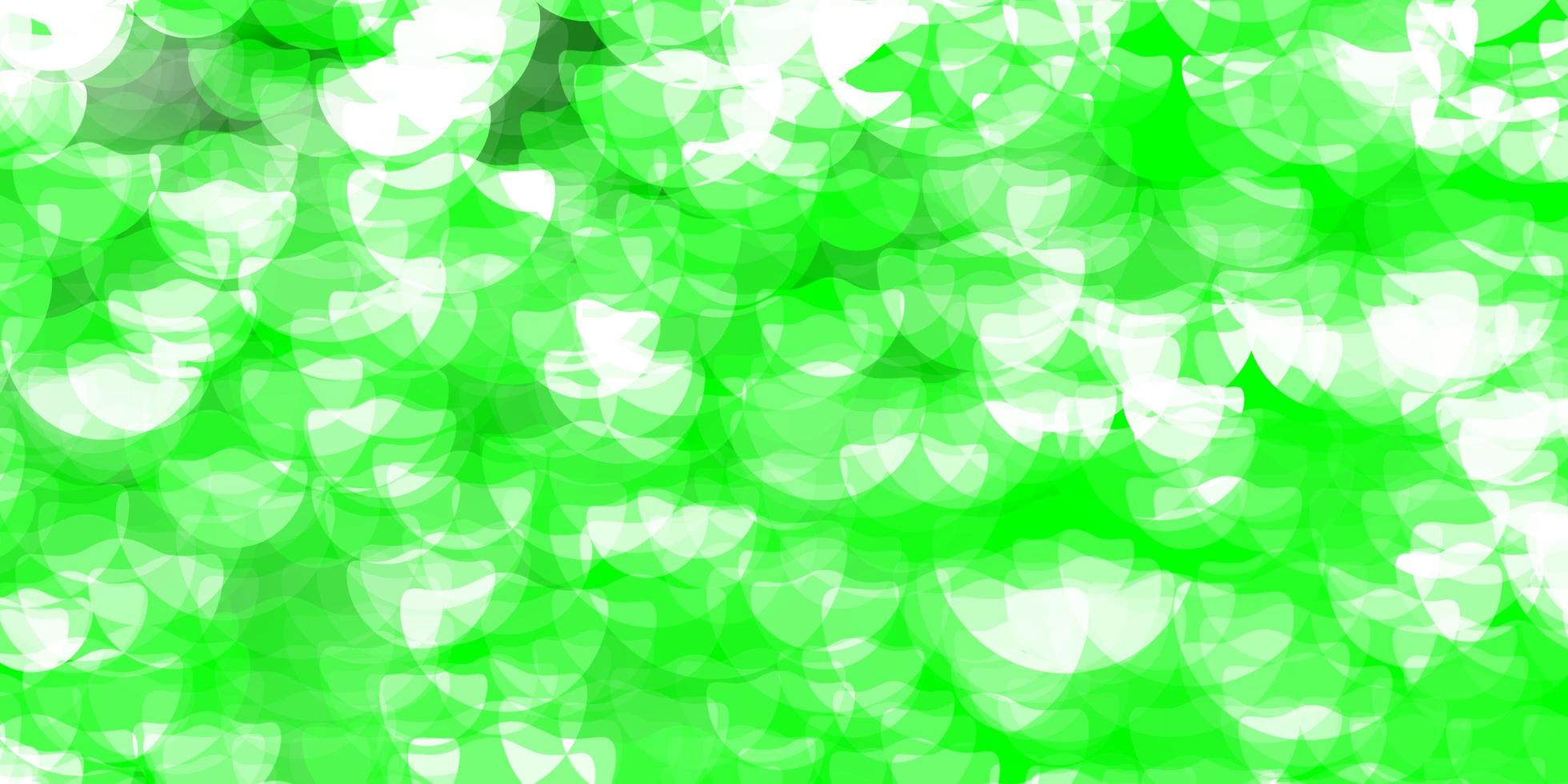 Light Green vector backdrop with dots.