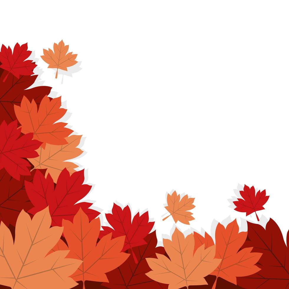 Autumn maple leaves design vector