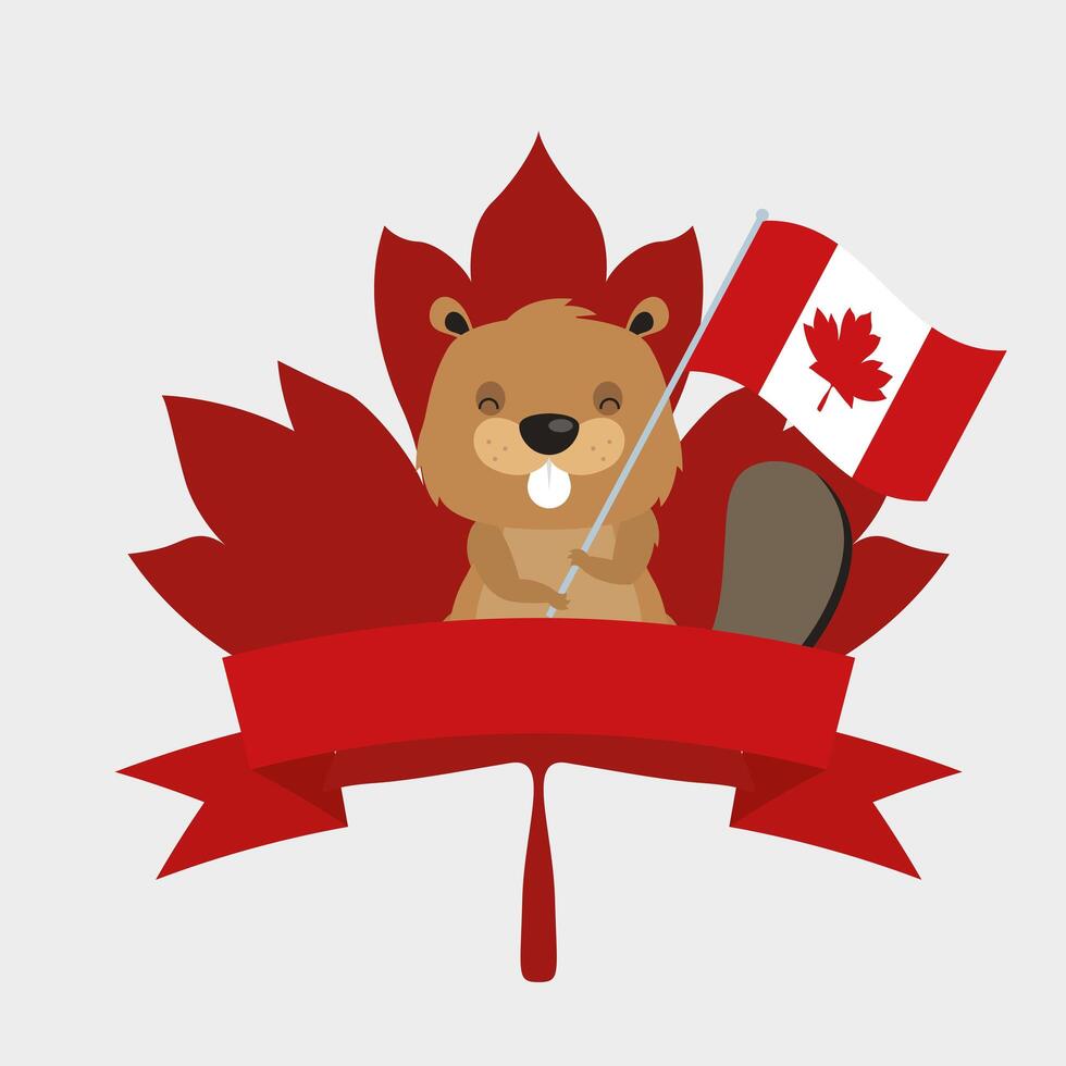 Castor canadiense con bandera y cinta para el diseño vectorial del feliz día de Canadá vector