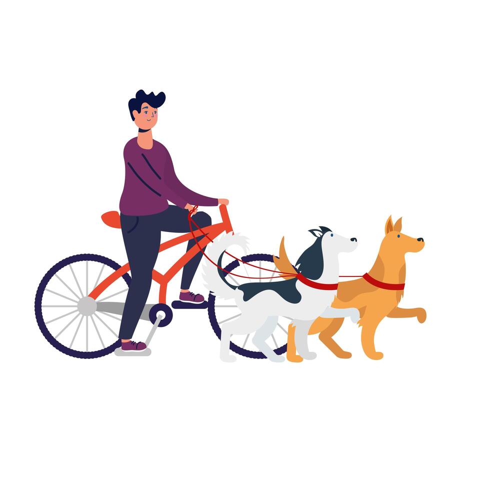 joven en bicicleta con perros vector