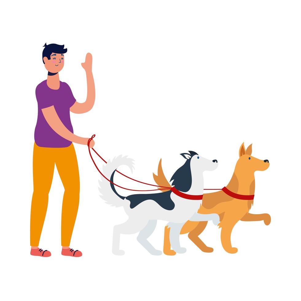 young man walking with dogs vector