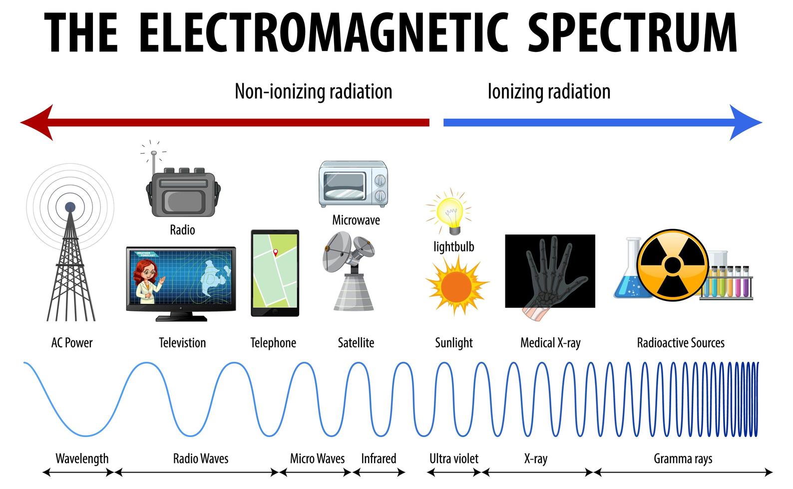 diagrama de espectro electromagnético de ciencia vector