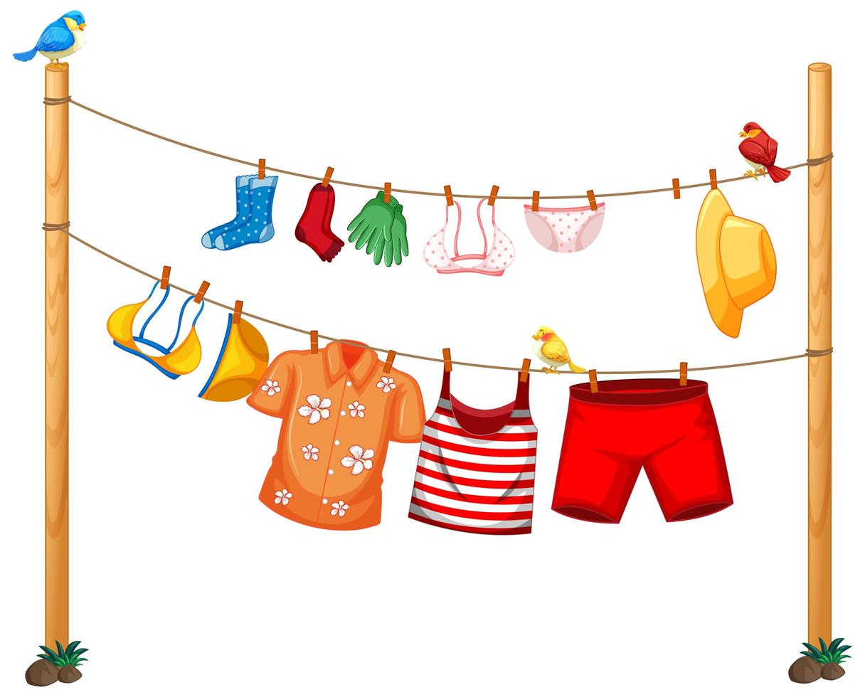 Isolated clothes hanging on clothesline on white background vector
