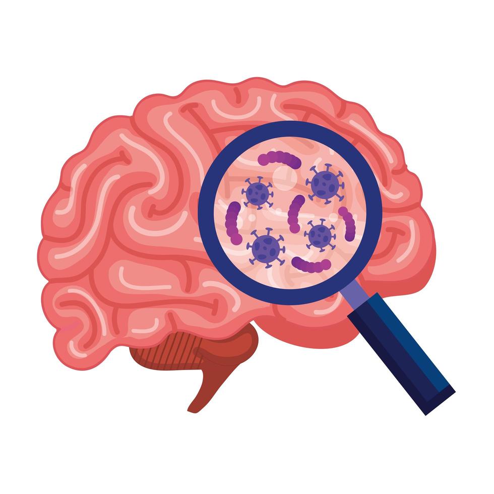 brain human with particles covid 19 and magnifying glass vector