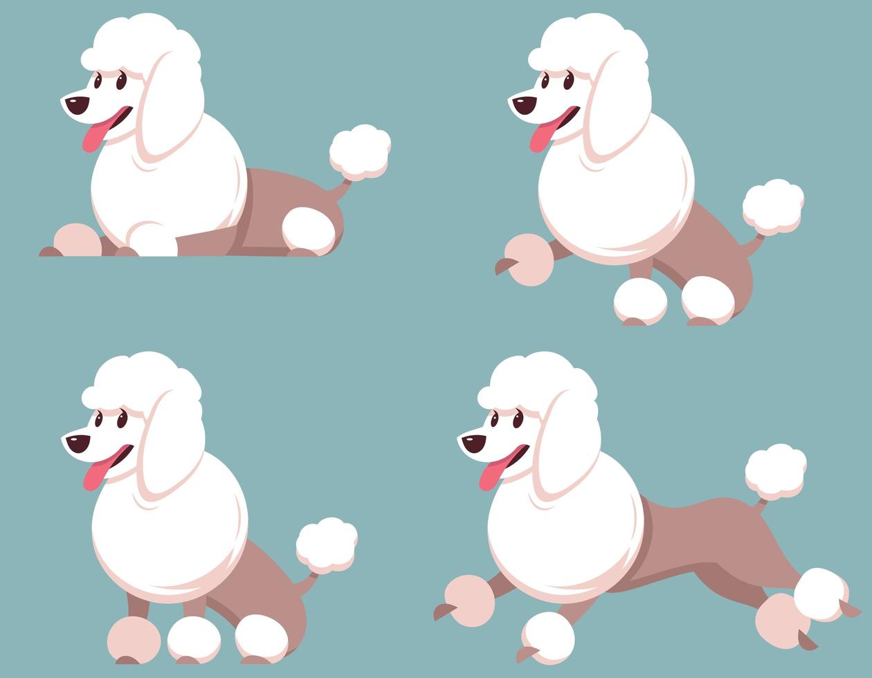 caniche en diferentes poses. vector