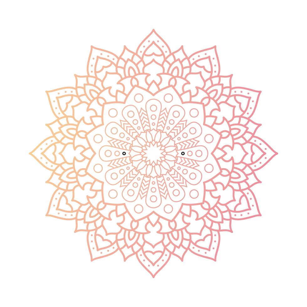 mandala rosa floral decorativo vector