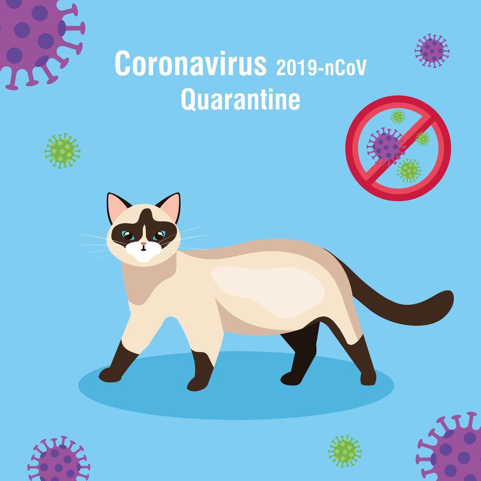 quarantine 2019 ncov campaign with cat vector