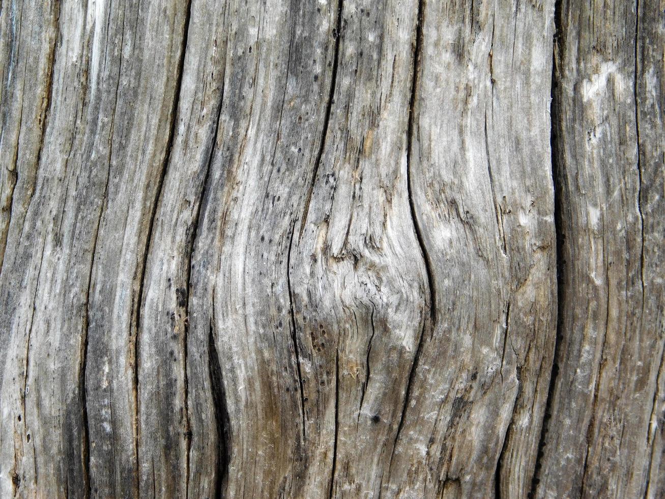 textura de madera al aire libre foto
