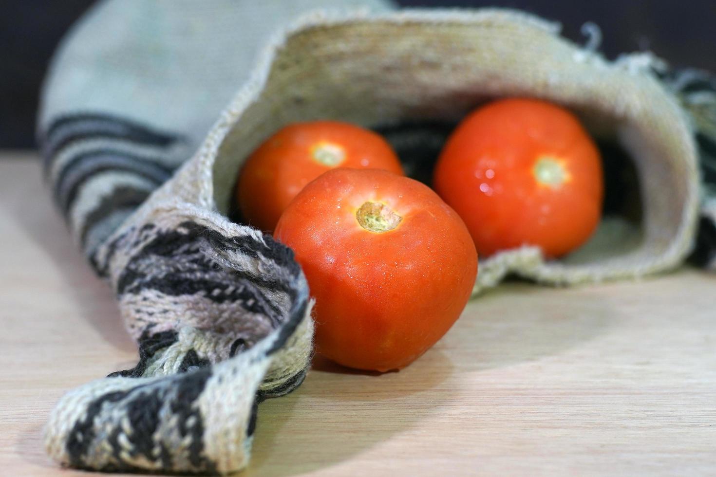 fresh tomatoes in backpack photo