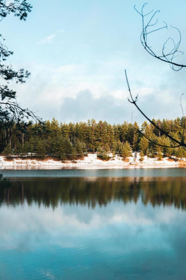 Lake view with trees 1885381 Stock Photo at Vecteezy