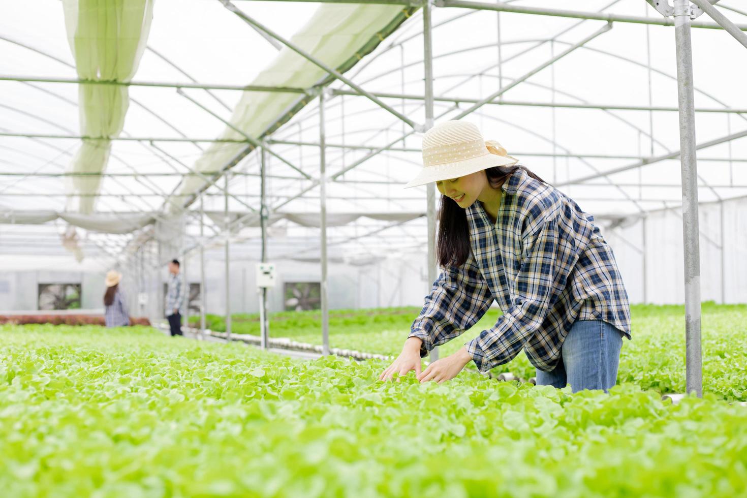 mujer inspeccionando plantas foto