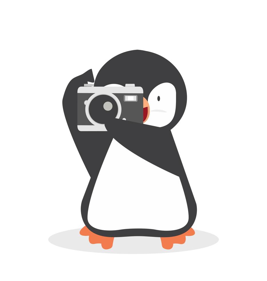 lindo pingüino con una cámara vector