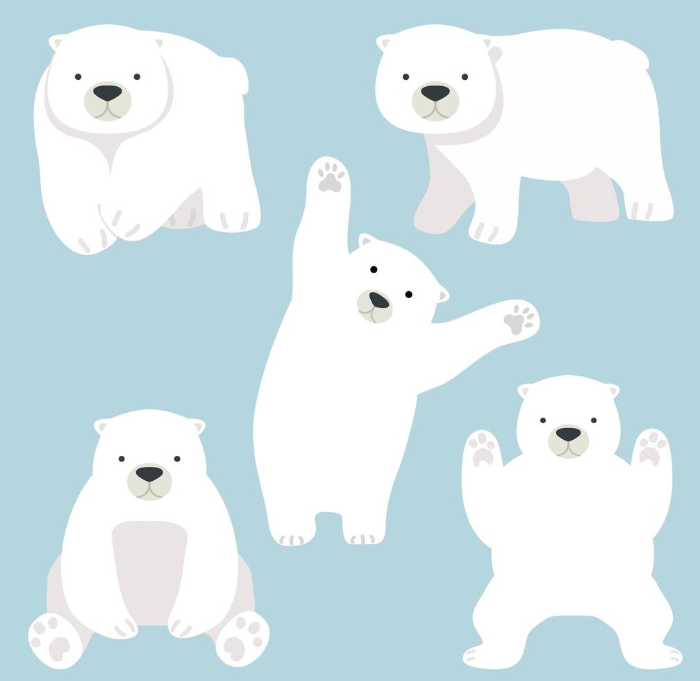 lindo, oso polar, divertido, caricatura, vector, conjunto vector