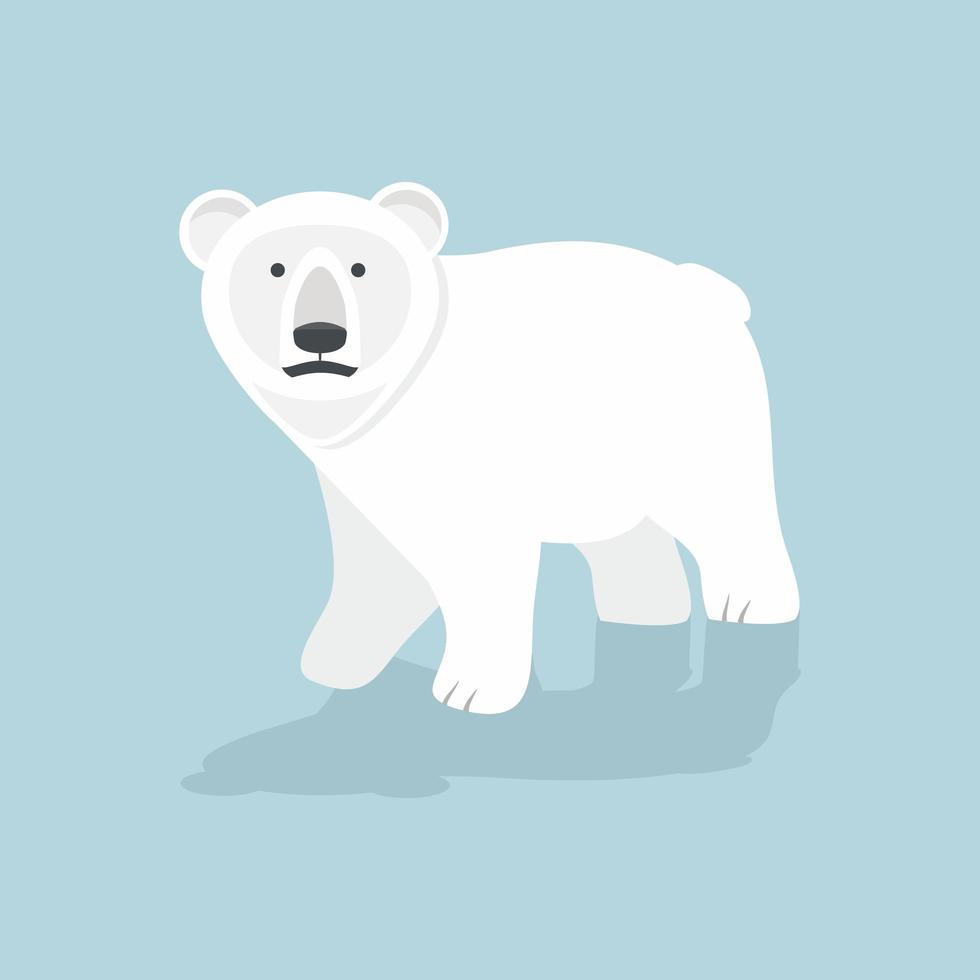 Cute Polar bear  vector