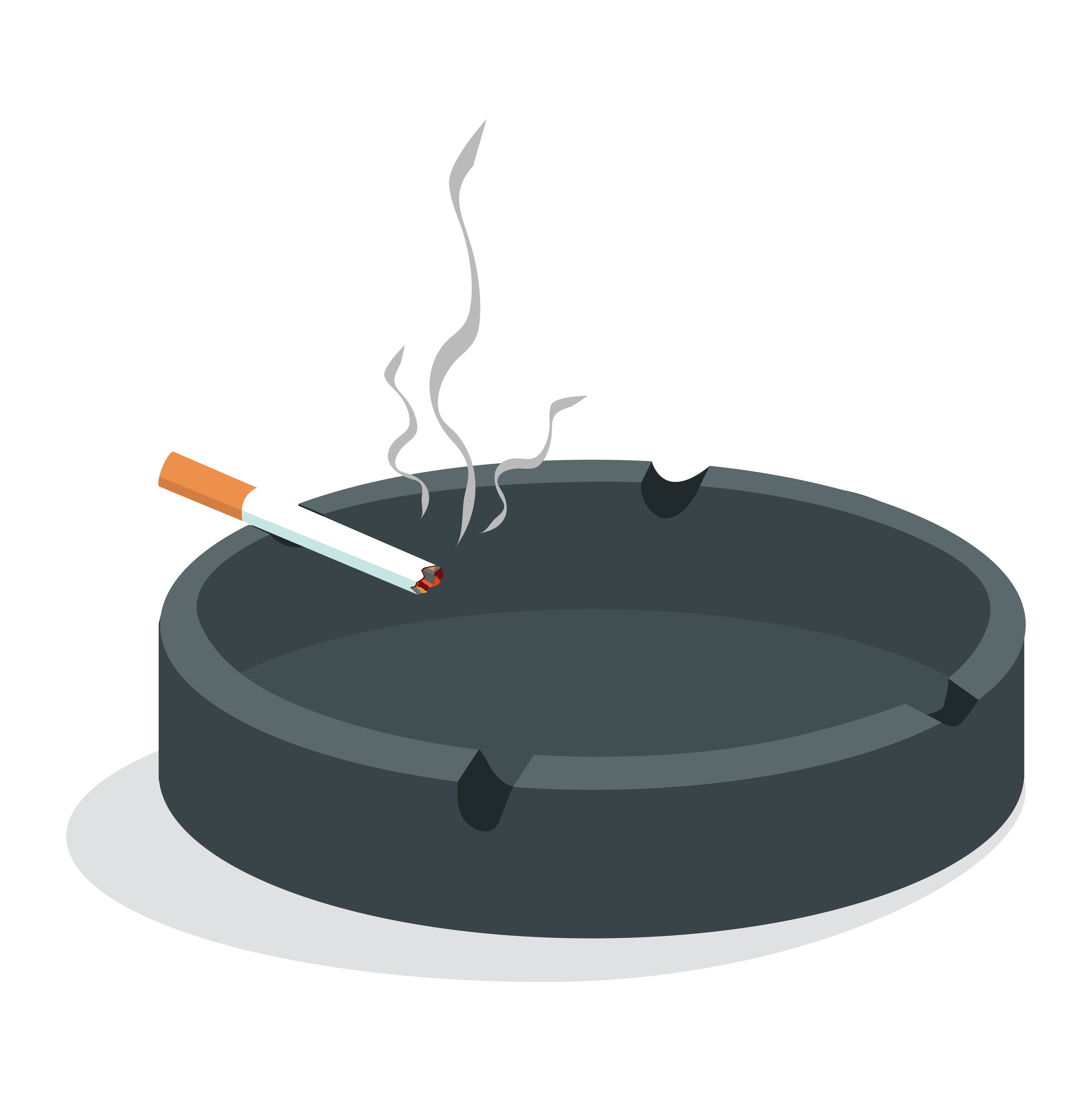 cigarette ashtray white background ash smoke butt 19894764 Stock Photo at  Vecteezy