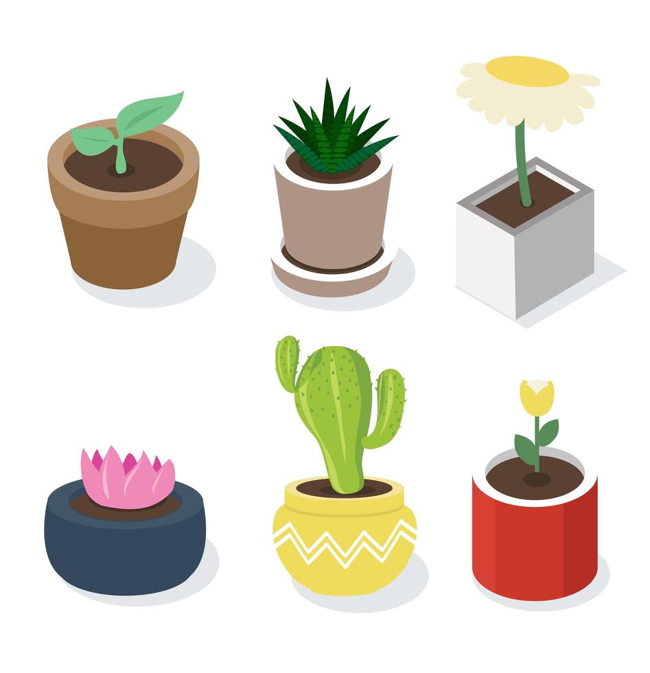 conjunto de plantas en maceta isométrica vector