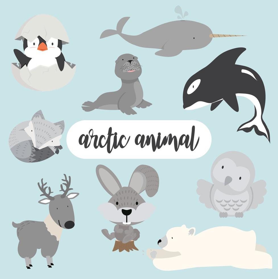 Arctic animal set vector