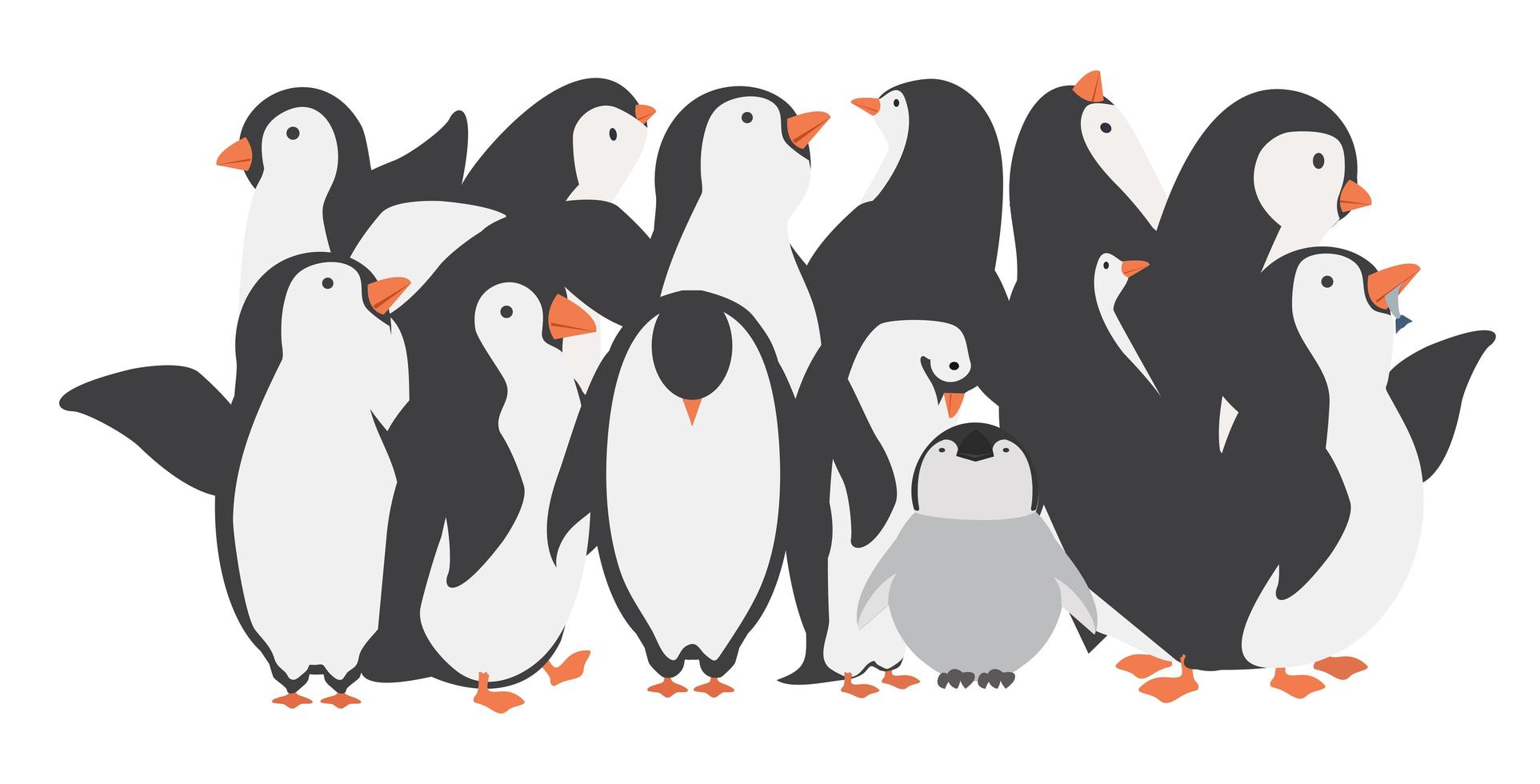 Personajes de familia de pingüinos felices en diferentes poses vector