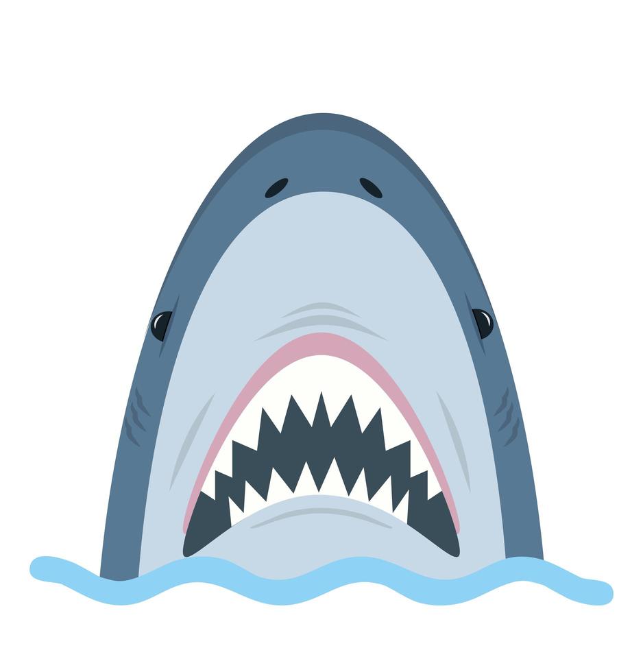 White Shark open mouth in water vector