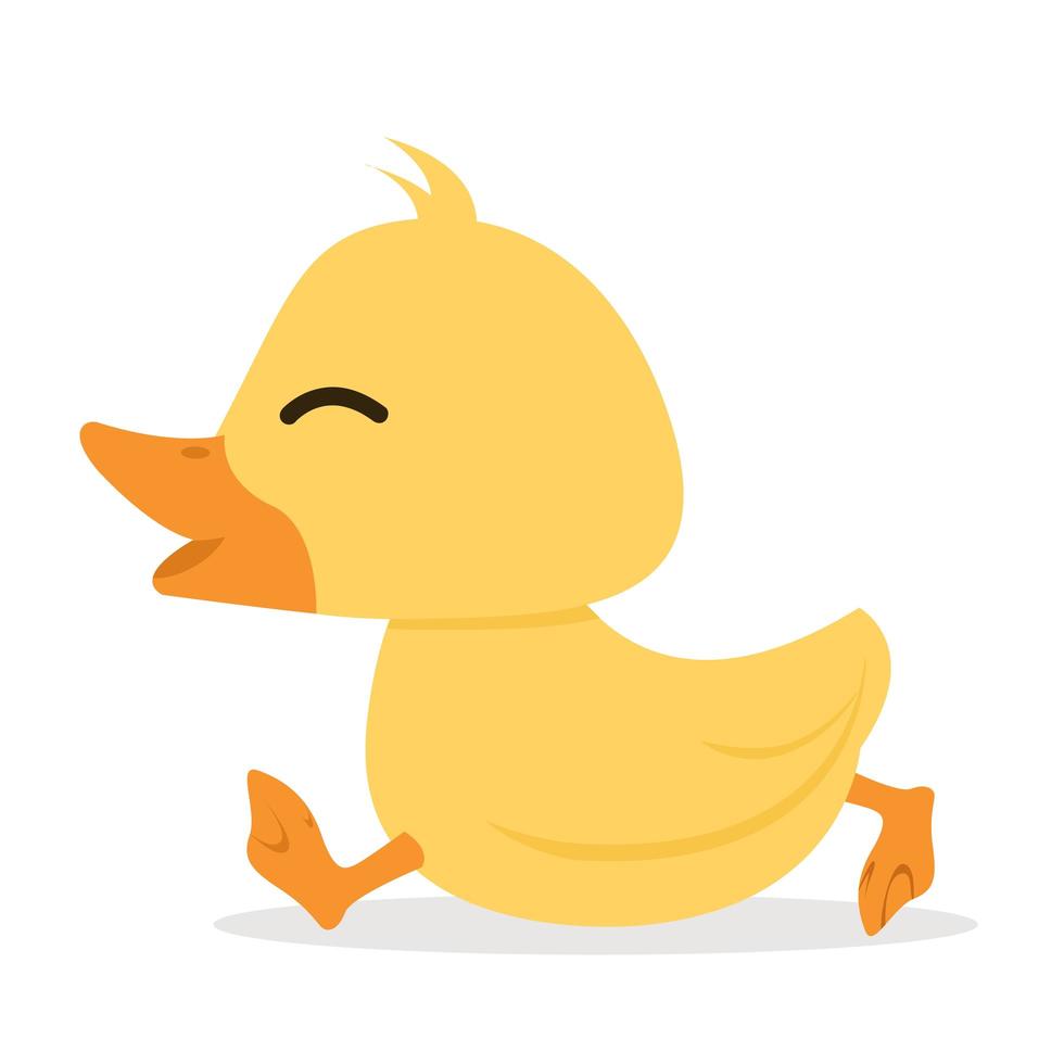 Cute little yellow duck walking vector