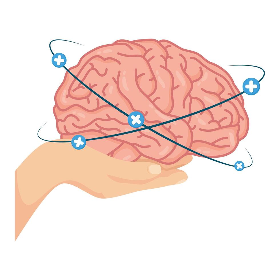 Mano levantando el cerebro humano con símbolos más vector