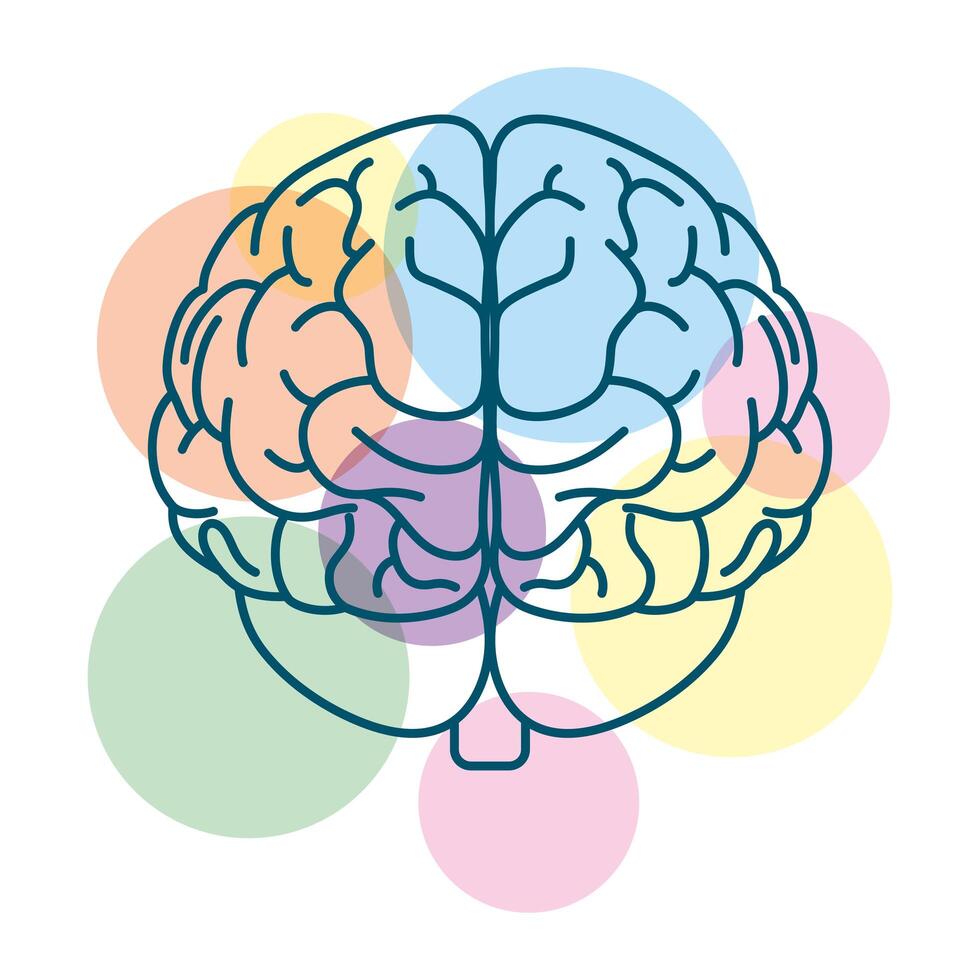 cerebro humano con círculos de colores vector