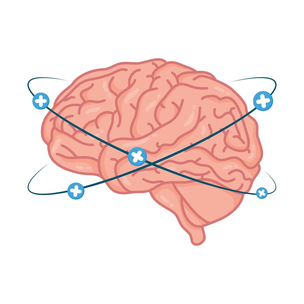 cerebro humano con símbolos más vector