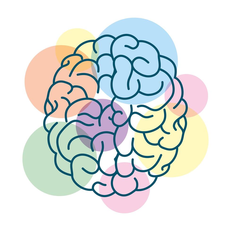 cerebro humano con círculos de colores vector