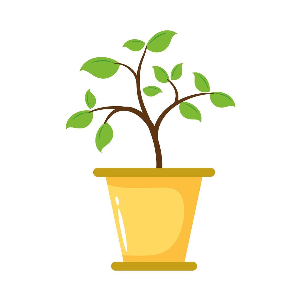 plant growing in pot flat style icon vector