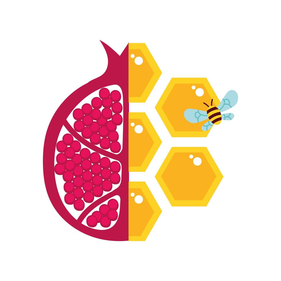 honey with half pomegranate and bee vector