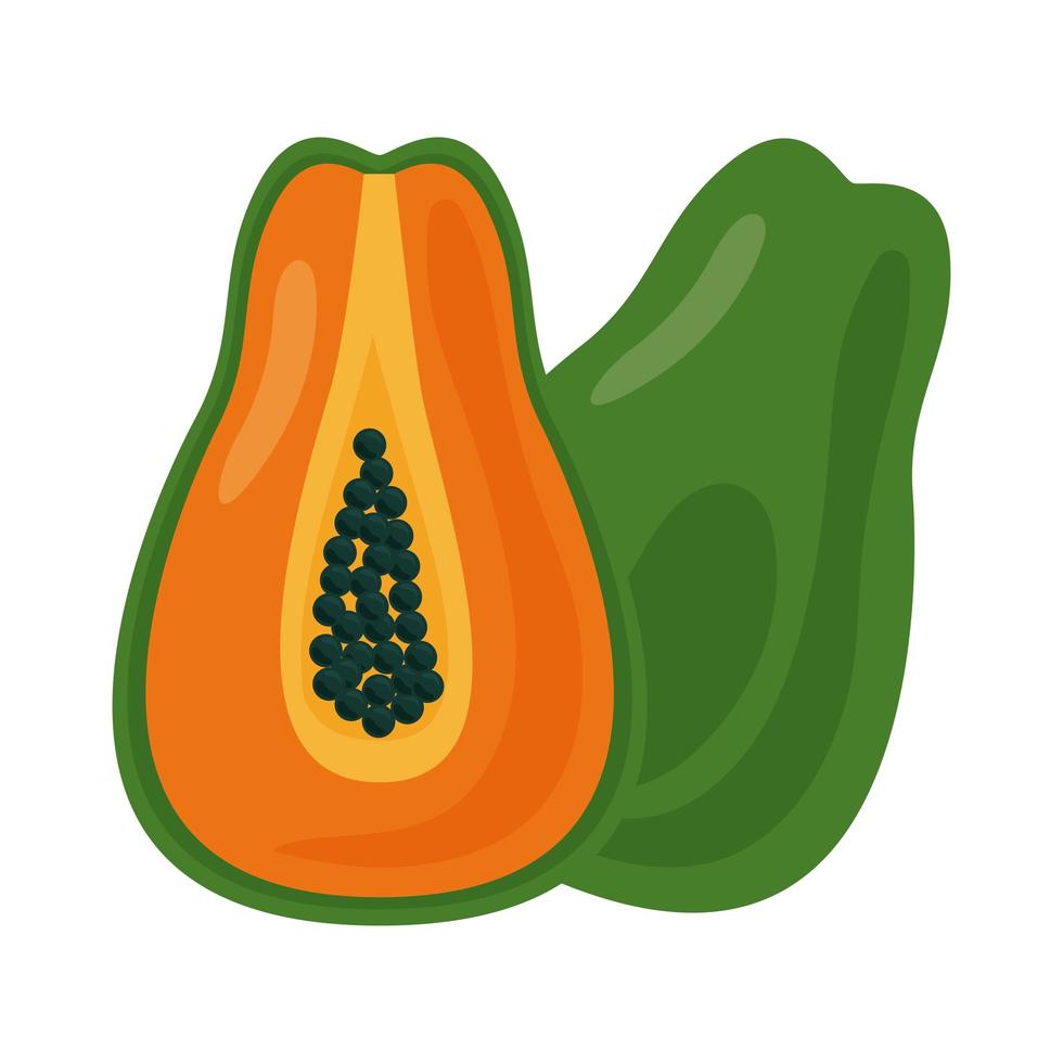 papaya fruta fresca comida sana icono vector