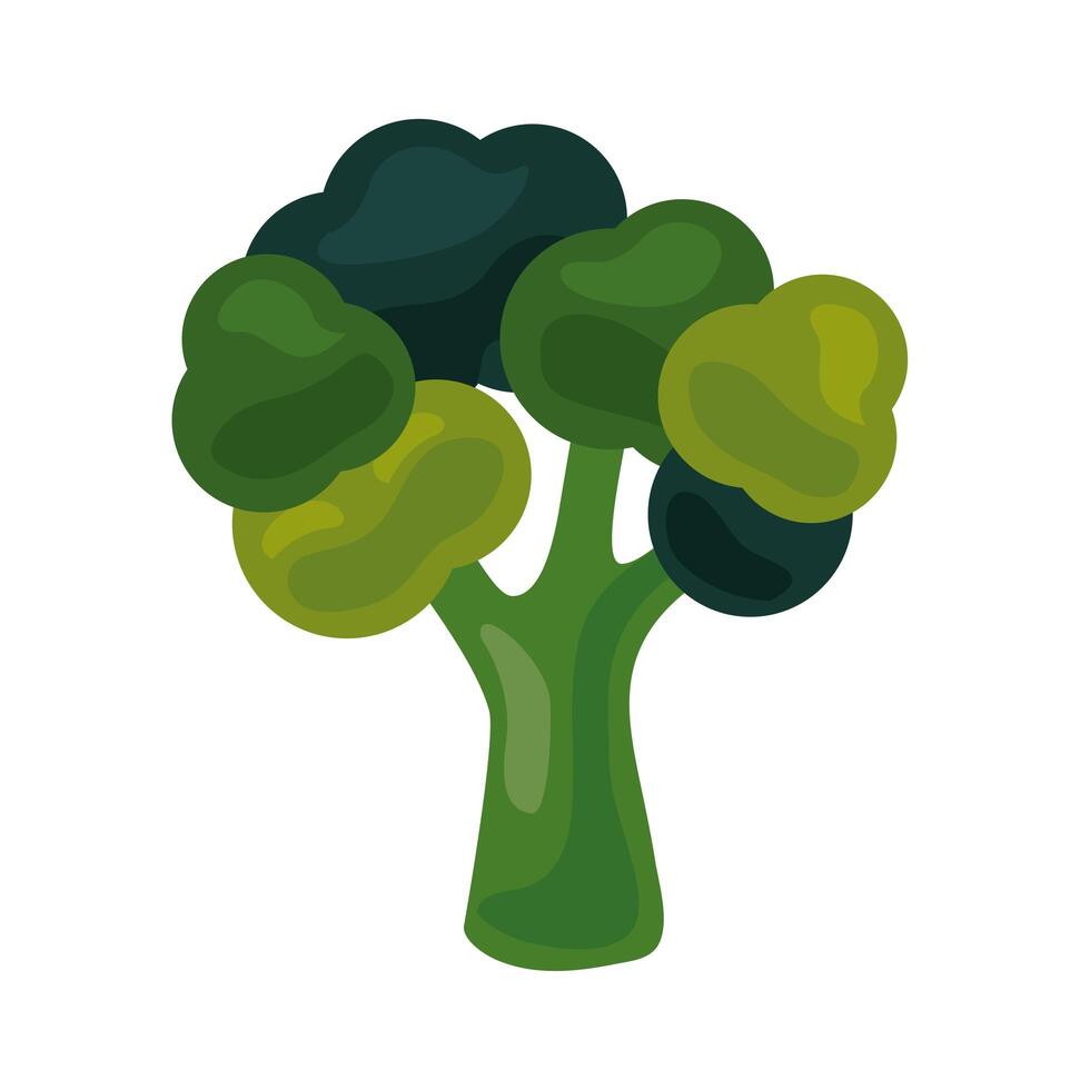 brócoli fresco vegetal icono de comida sana vector