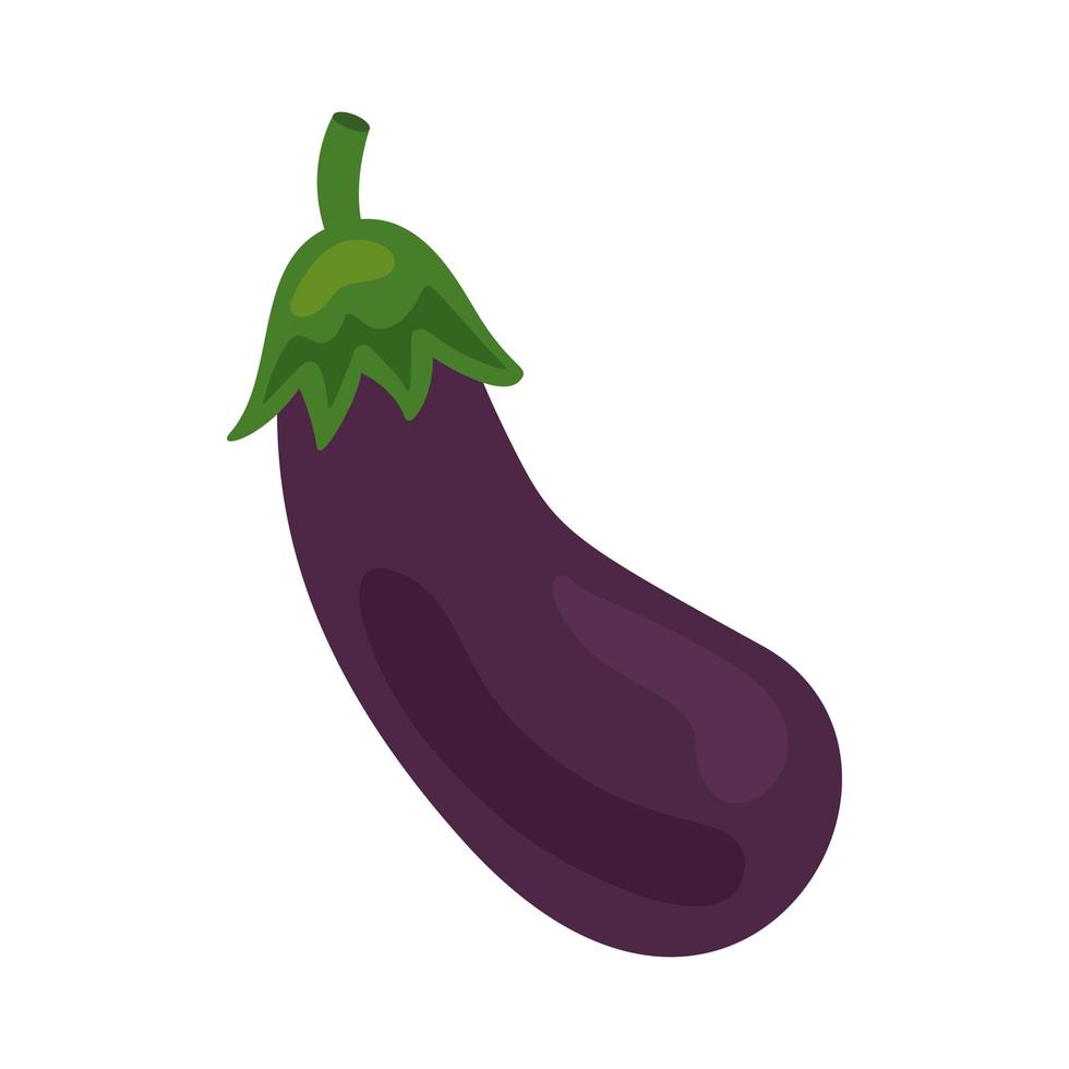 fresh eggplant vegetable healthy food icon vector