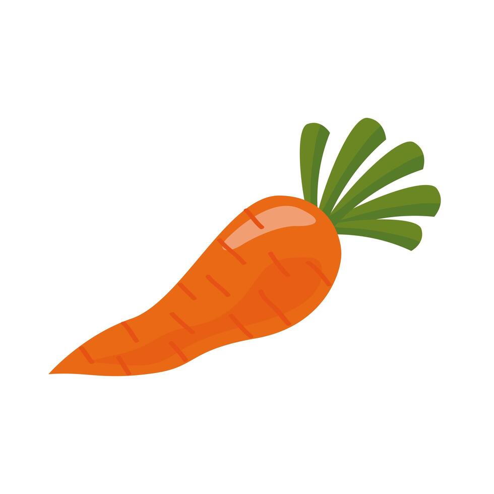 fresh carrot vegetable healthy food icon vector