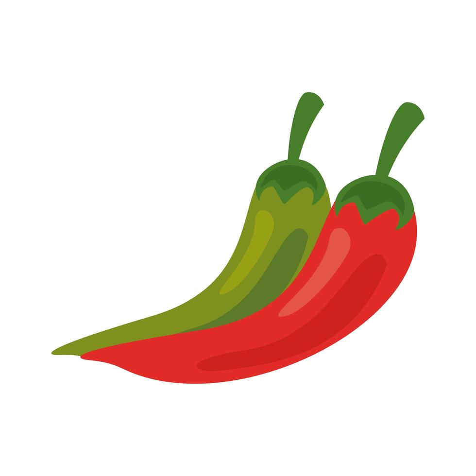 chili peppers fresh vegetables healthy food icon vector