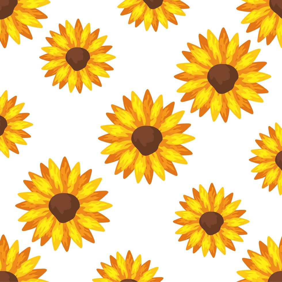 fondo de girasoles plantas iconos vector