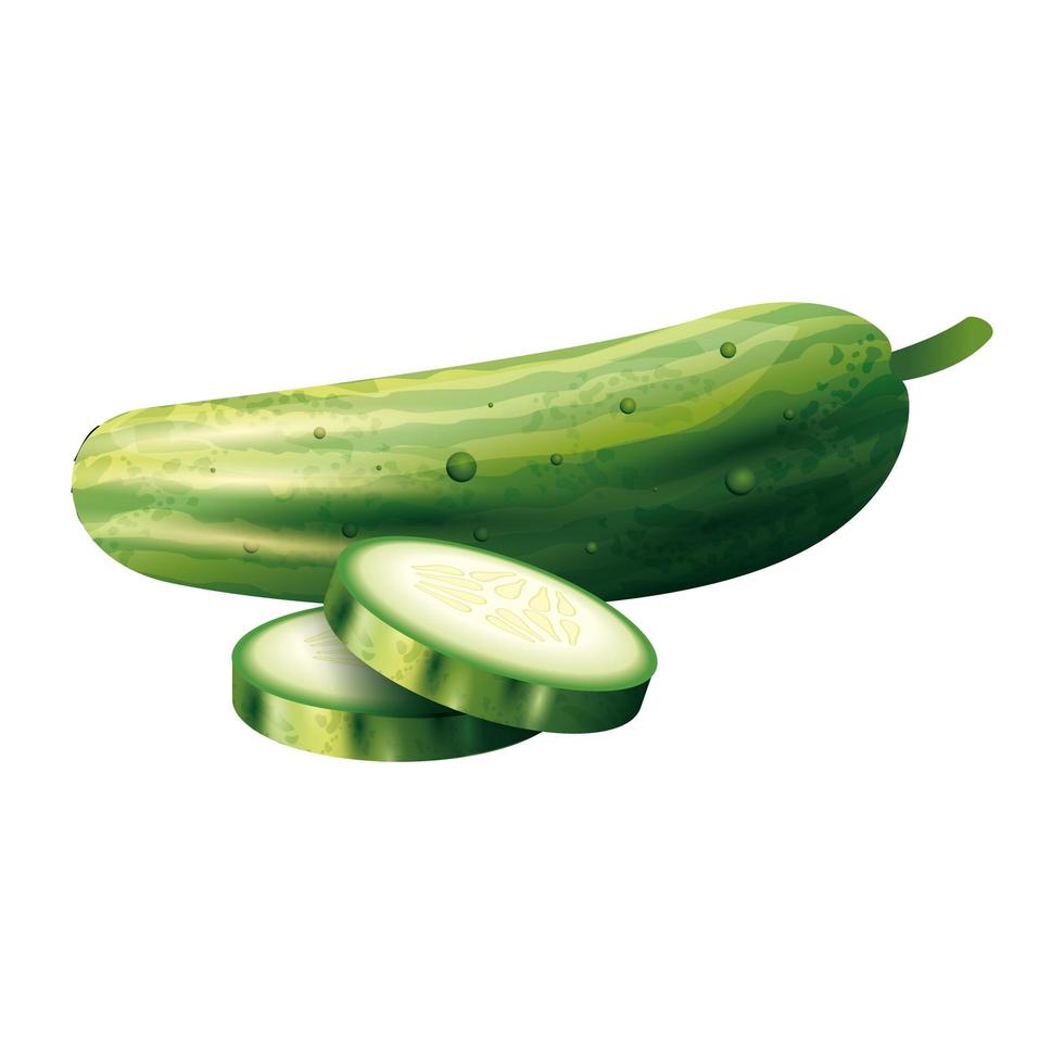 Diseño de vector vegetal de pepino aislado