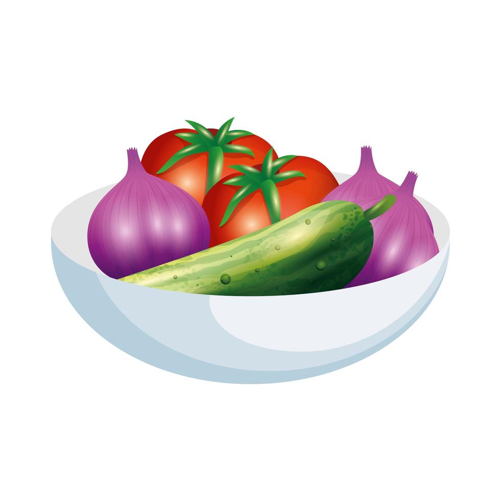 tomato cucumber and garlic vegetable vector design