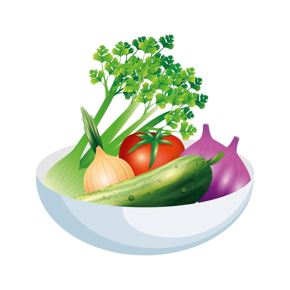 apio ajo cebolla pepino y tomate vegetal diseño vectorial vector