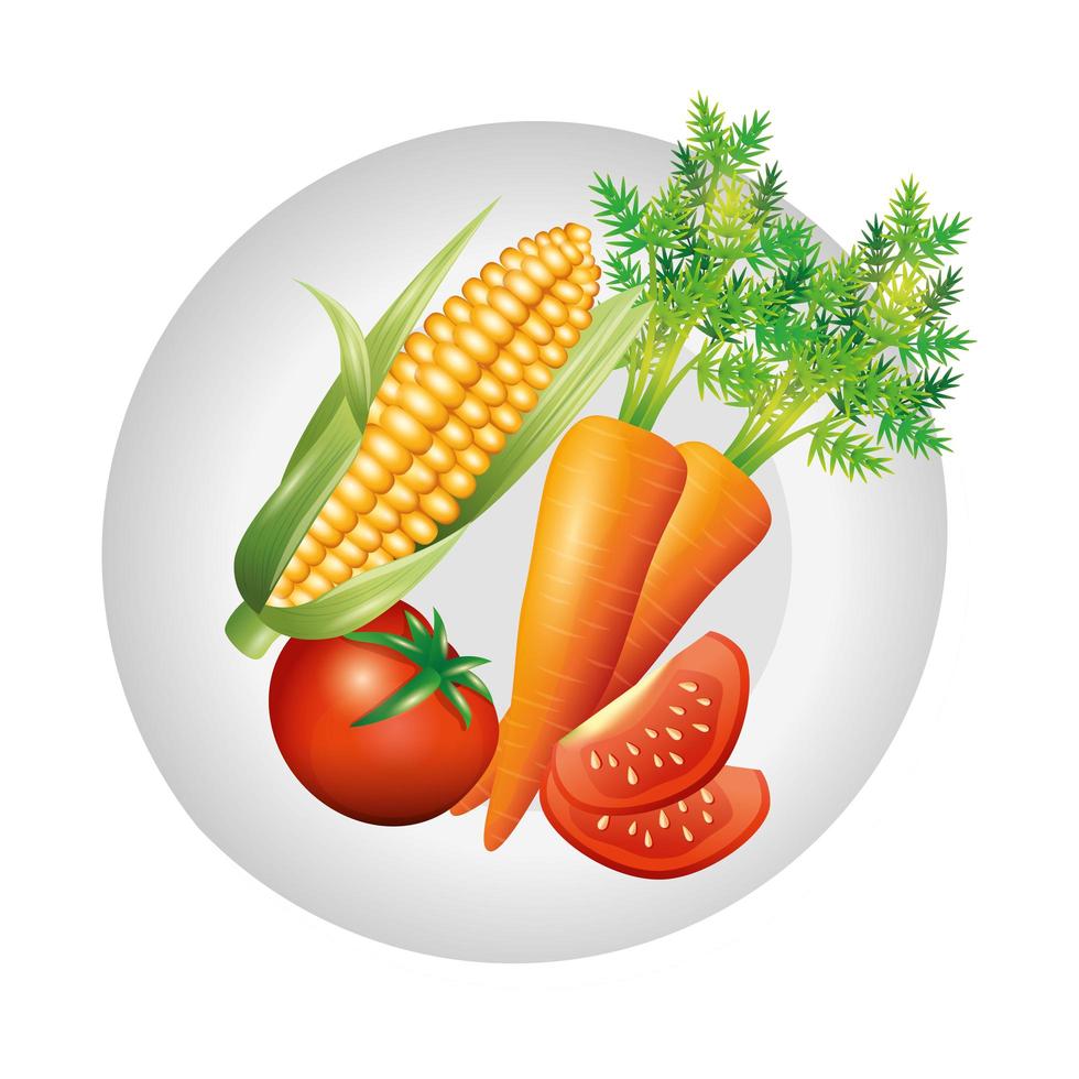 carrot corn and tomato vector design