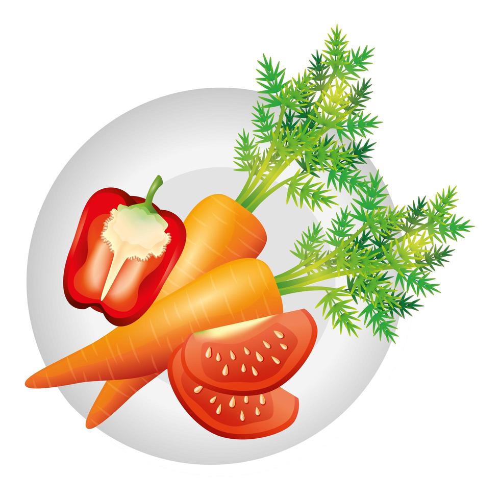 zanahoria, pimiento, y, tomate, vector, diseño vector