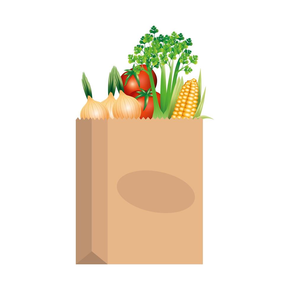 Vegetables inside bag vector design