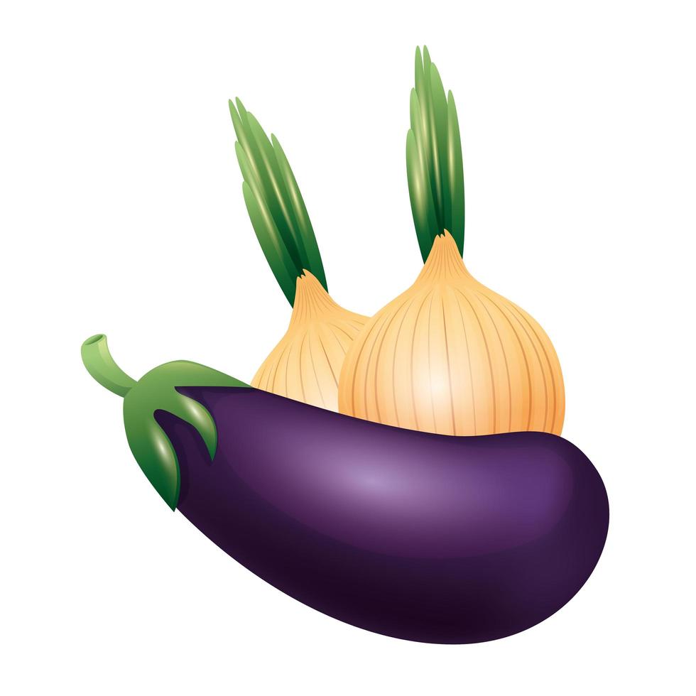 Isolated eggplant and onions vector design