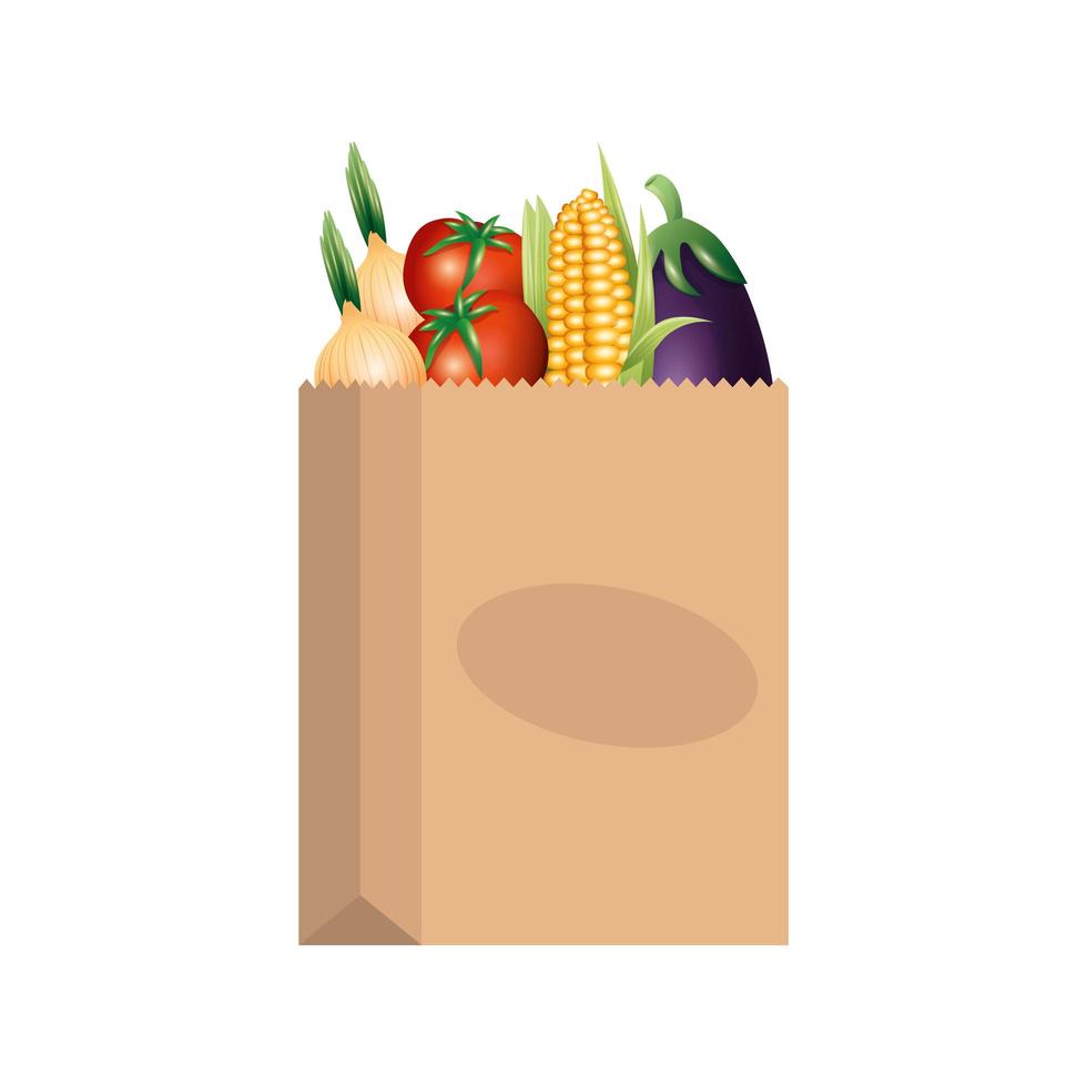 Vegetables inside bag vector design