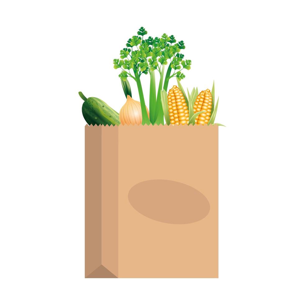 Vegetables inside bag vector design