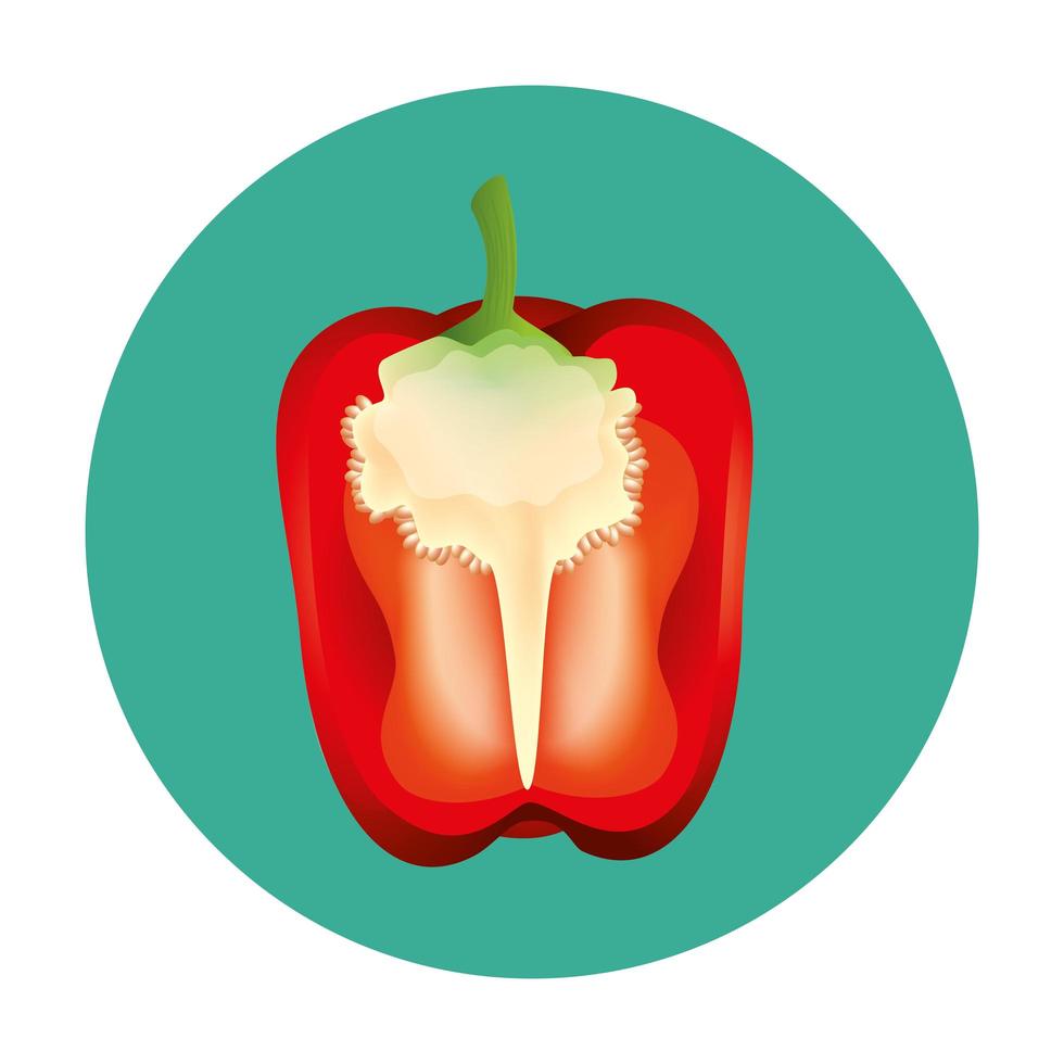 diseño de vector vegetal de pimiento aislado