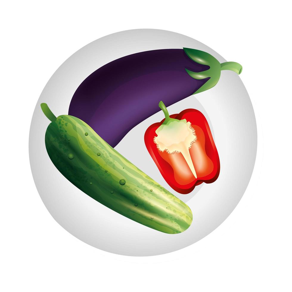 Diseño vectorial de pepino y pimiento berenjena aislado vector