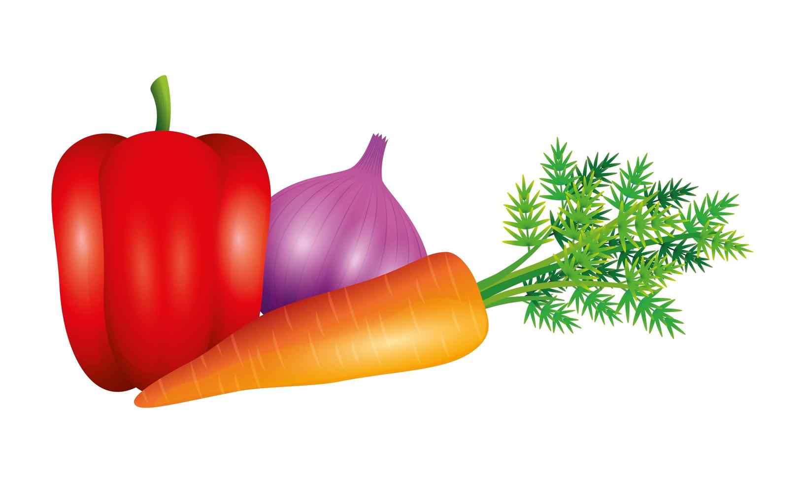 pepper garlic and carrot vegetable vector design