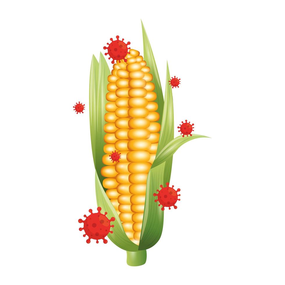 corn vegetable with covid 19 virus vector design