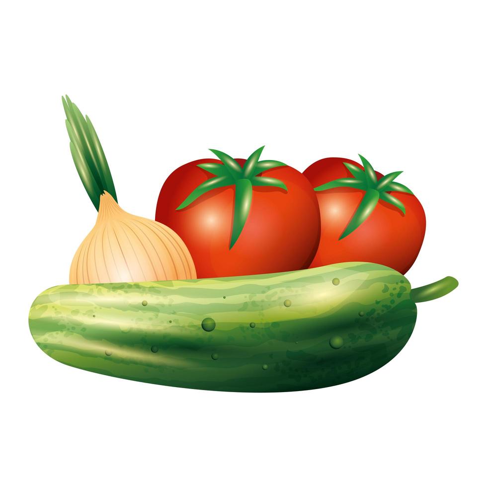 pepino tomate y cebolla vegetal diseño vectorial vector